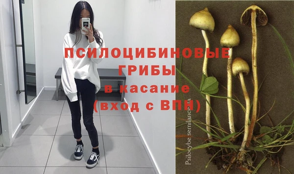 гидропоника Арсеньев