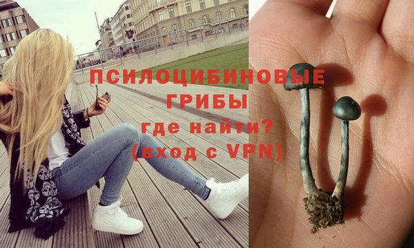 гидропоника Арсеньев