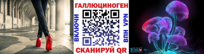 дарк нет состав  где купить наркотик  Александров  Галлюциногенные грибы мицелий 